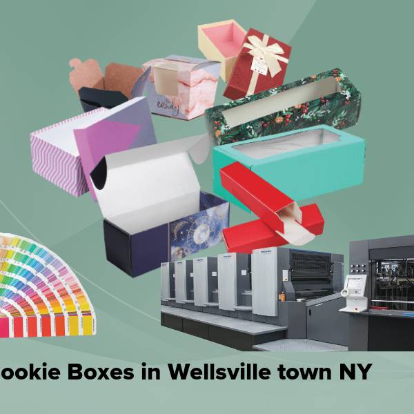 Cookie boxes in wellsville town ny