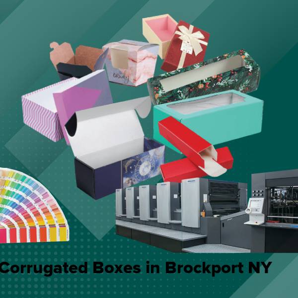 Corrugated boxes in brockport ny