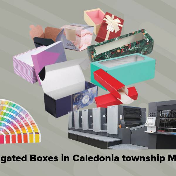 Corrugated boxes in caledonia township mi