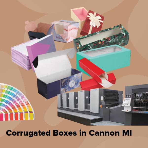 Corrugated boxes in cannon mi