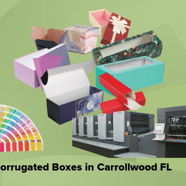 Corrugated boxes in carrollwood fl