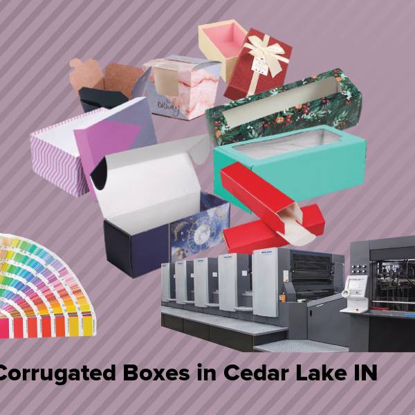 Corrugated boxes in cedar lake in