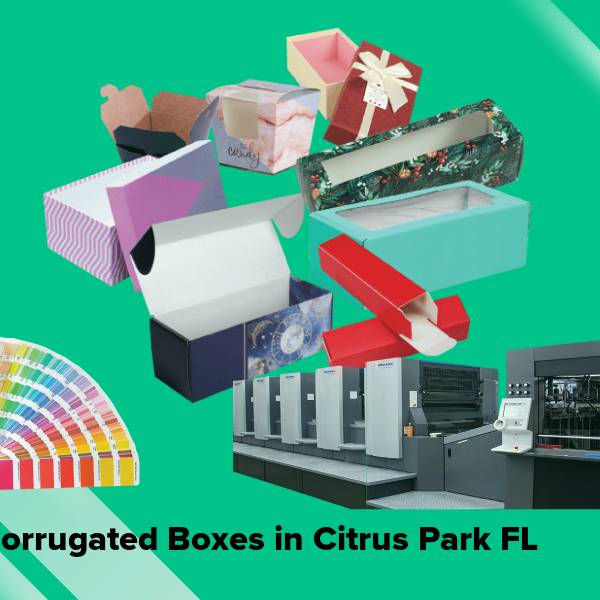 Corrugated boxes in citrus park fl