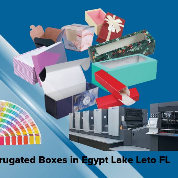 Corrugated boxes in egypt lake leto fl