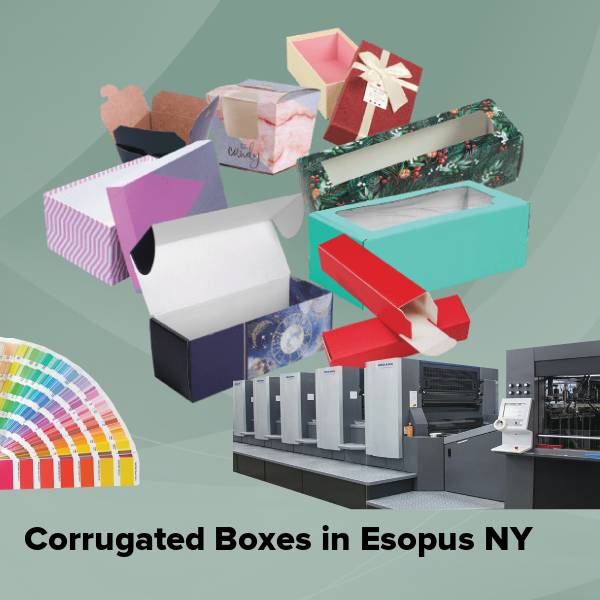 Corrugated boxes in esopus ny