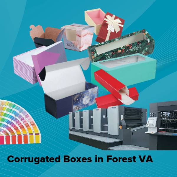 Corrugated boxes in forest va