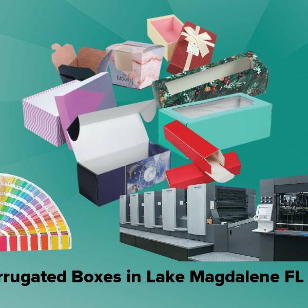 Corrugated boxes in lake magdalene fl
