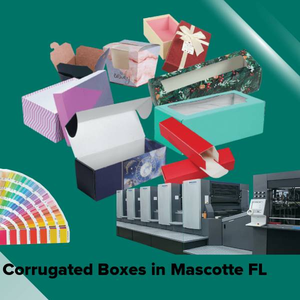 Corrugated boxes in mascotte fl