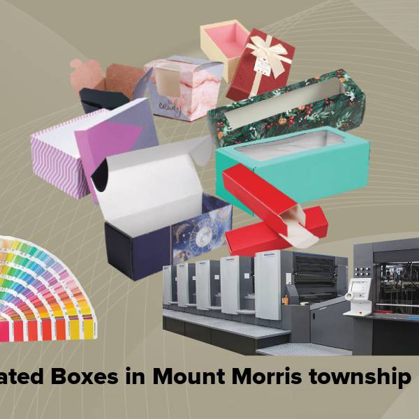 Corrugated boxes in mount morris township mi