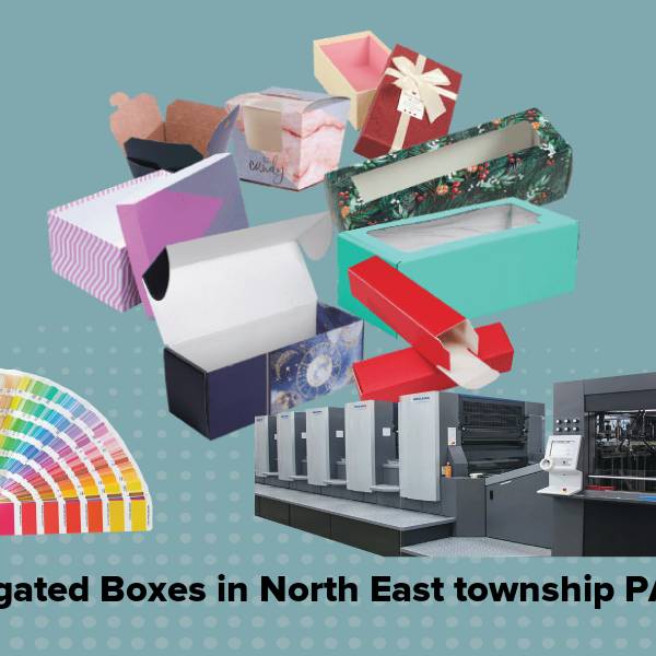 Corrugated boxes in north east township pa