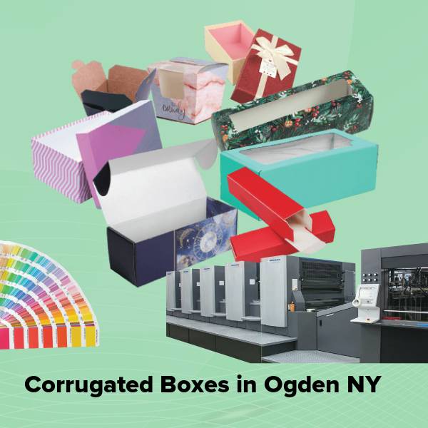 Corrugated boxes in ogden ny