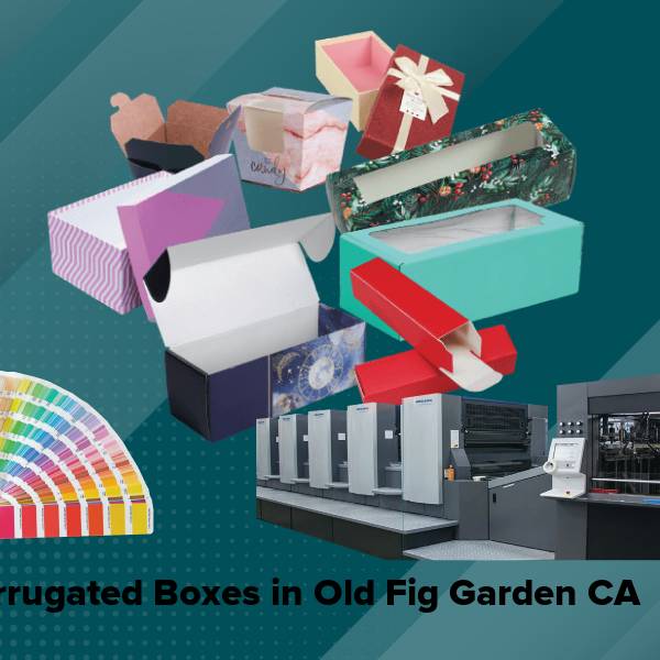 Corrugated boxes in old fig garden ca