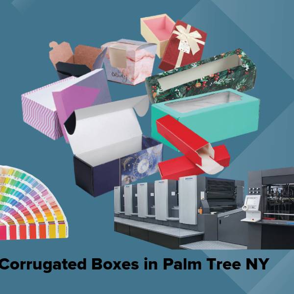 Corrugated boxes in palm tree ny