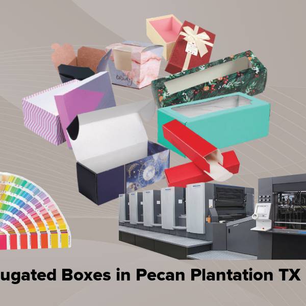 Corrugated boxes in pecan plantation tx