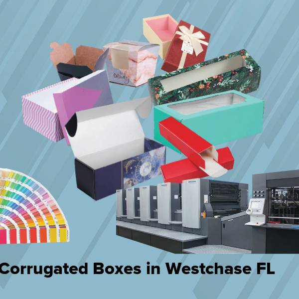 Corrugated boxes in westchase fl