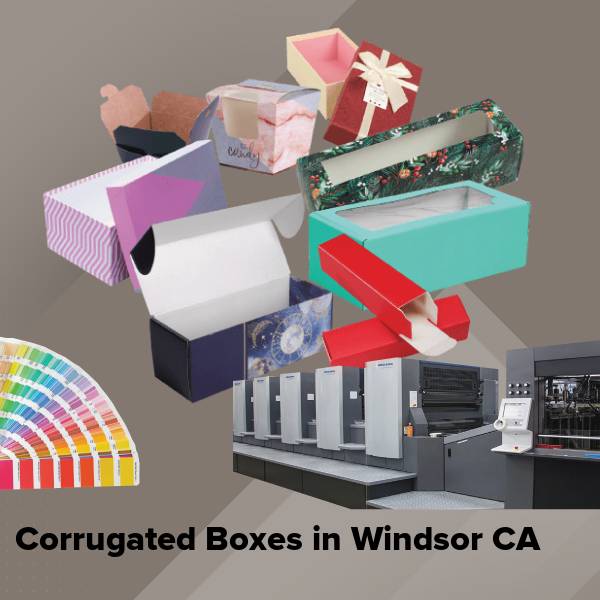 Corrugated boxes in windsor ca