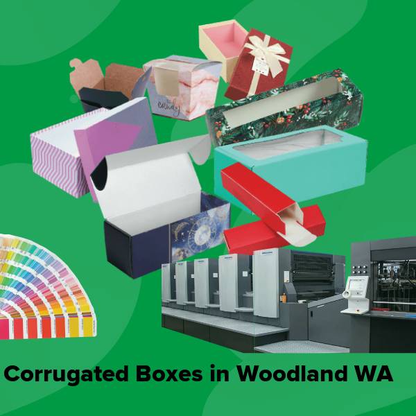 Corrugated boxes in woodland wa