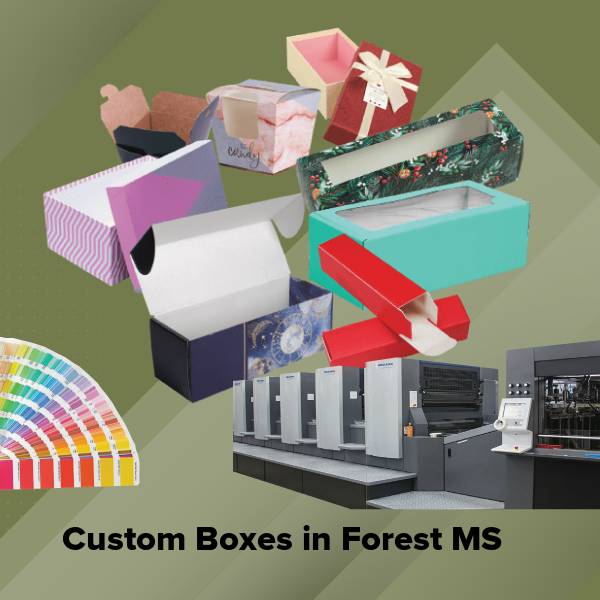 Custom boxes in forest ms
