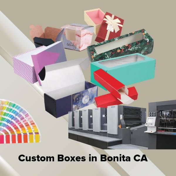 Custom boxes in bonita ca