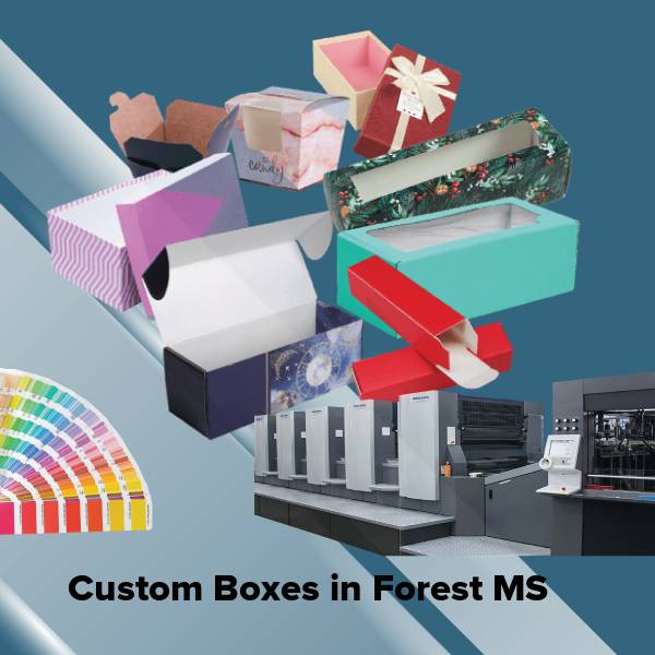Custom boxes in forest ms
