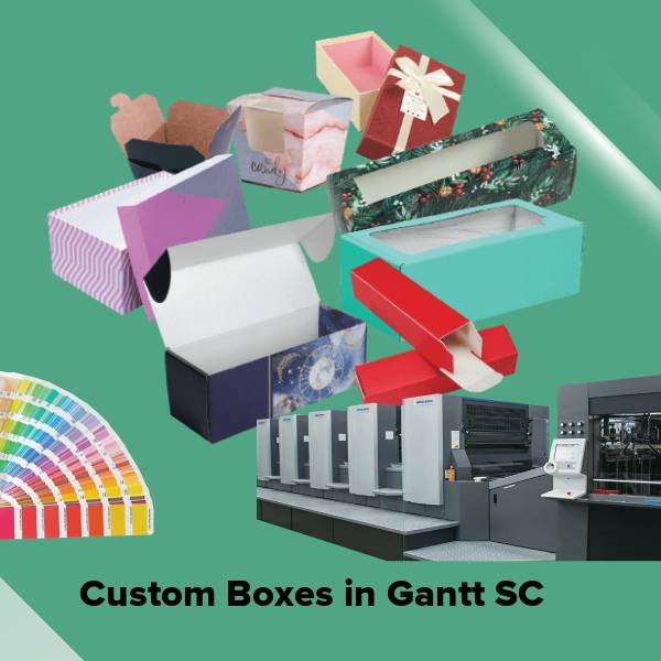 Custom boxes in gantt sc