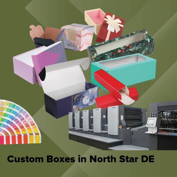 Custom boxes in north star de