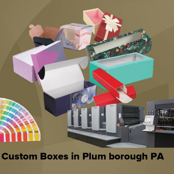 Custom boxes in plum borough pa