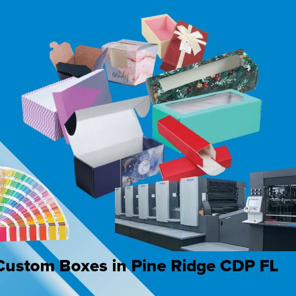 Custom boxes in pine ridge cdp fl