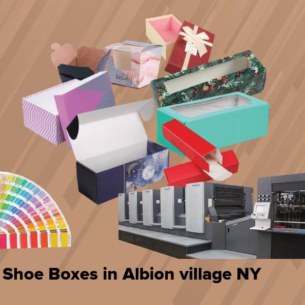 Shoe boxes in albion village ny