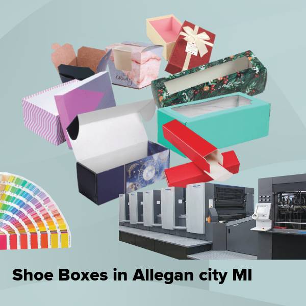 Shoe boxes in allegan city mi