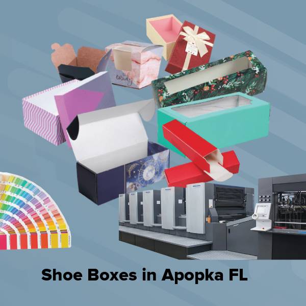 Shoe boxes in apopka fl