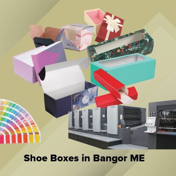 Shoe boxes in bangor me