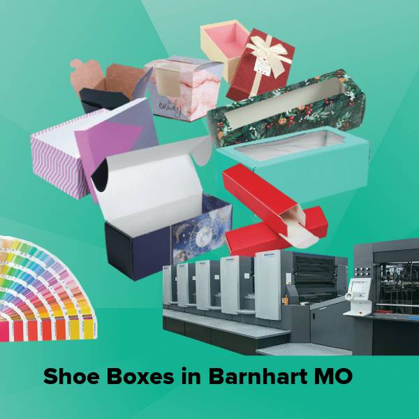 Shoe boxes in barnhart mo