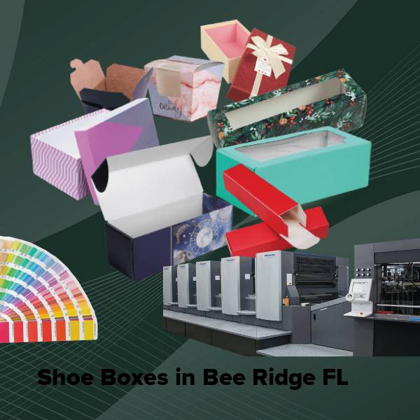 Shoe boxes in bee ridge fl