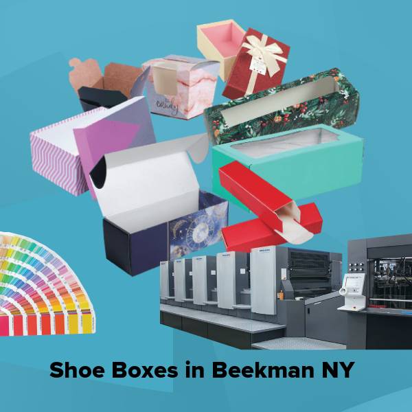 Shoe boxes in beekman ny