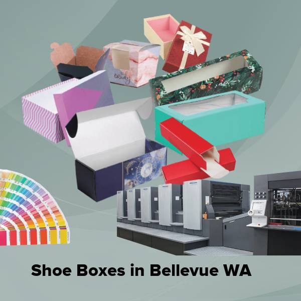 Shoe boxes in bellevue wa