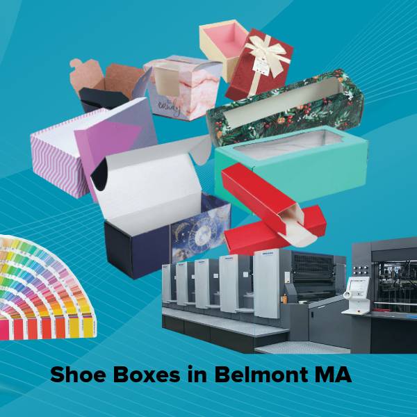 Shoe boxes in belmont ma
