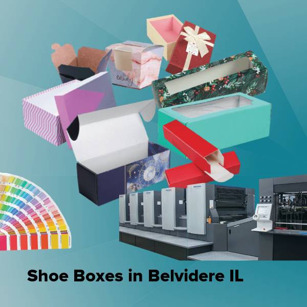 Shoe boxes in belvidere il