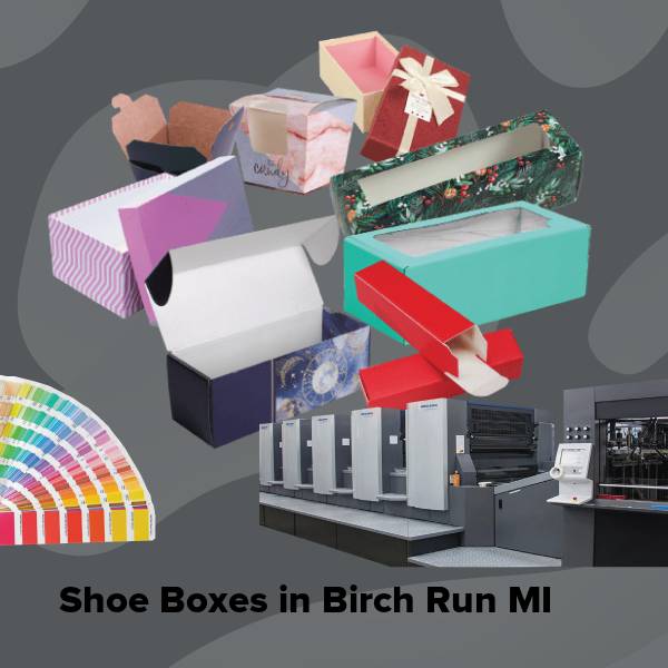Shoe boxes in birch run mi