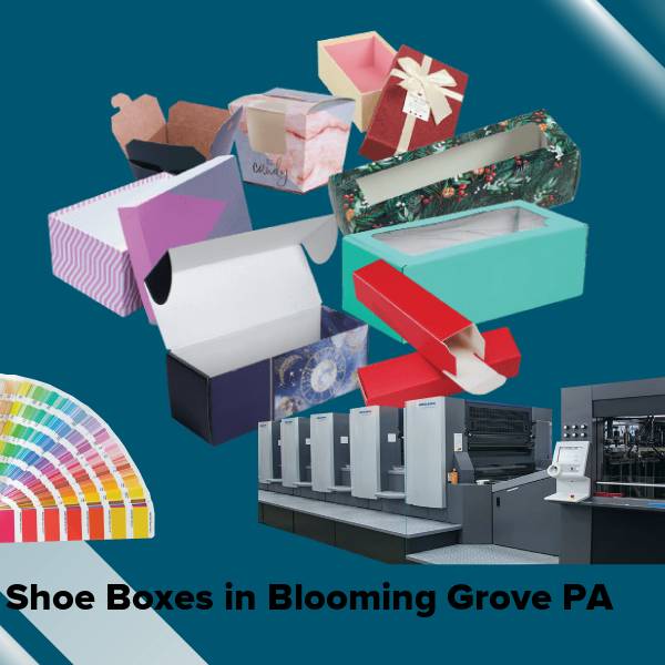 Shoe boxes in blooming grove pa