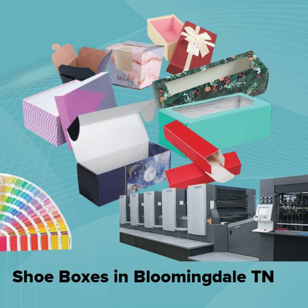 Shoe boxes in bloomingdale tn