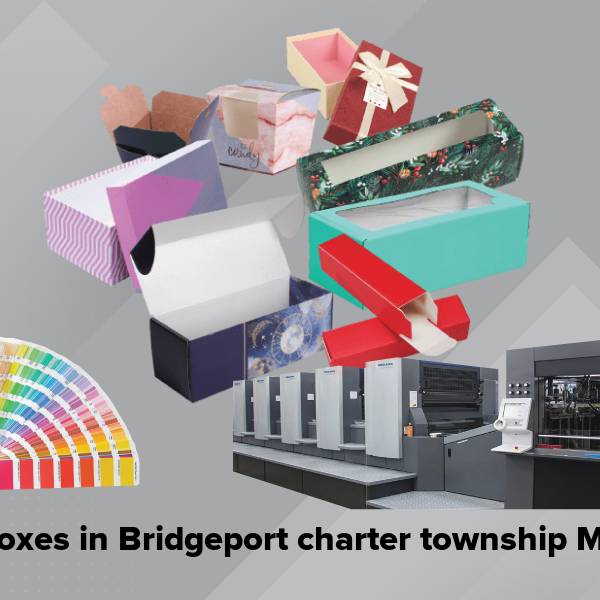 Shoe boxes in bridgeport charter township mi