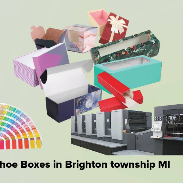 Shoe boxes in brighton township mi