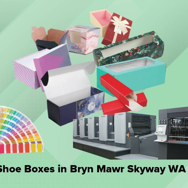 Shoe boxes in bryn mawr skyway wa