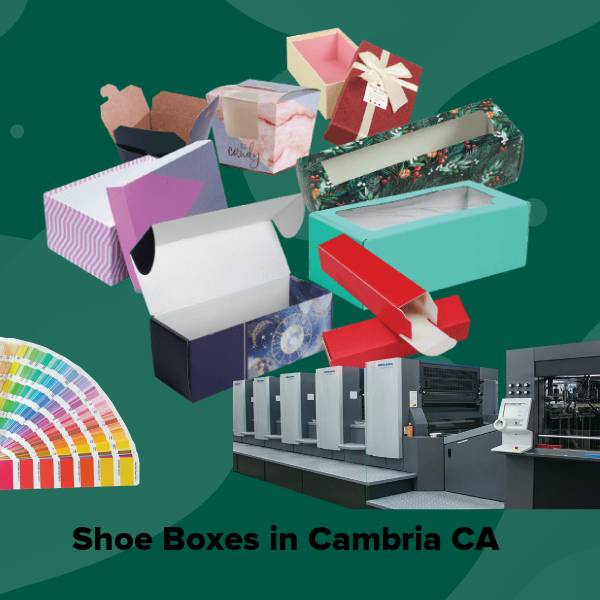 Shoe boxes in cambria ca