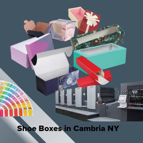 Shoe boxes in cambria ny