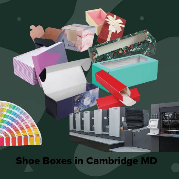 Shoe boxes in cambridge md
