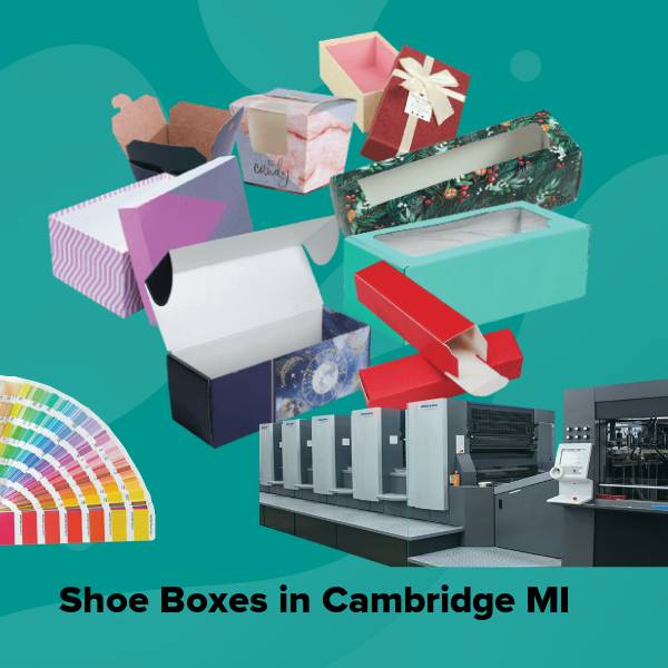 Shoe boxes in cambridge mi