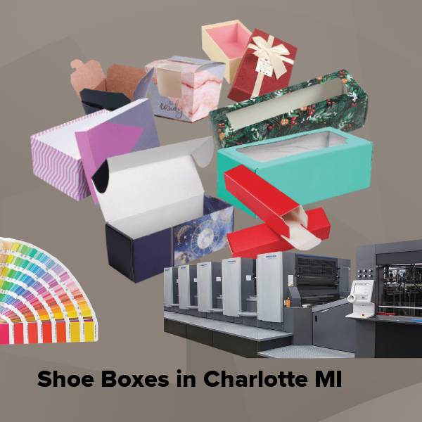 Shoe boxes in charlotte mi