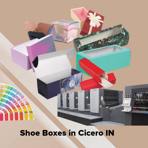 Shoe boxes in cicero in